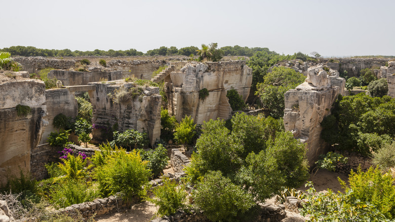 Garden in stone quarry