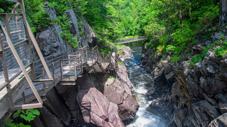 A gorge in the High Falls Conservation Area