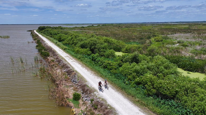 Bicycling along Lake Apopka in Central Florida