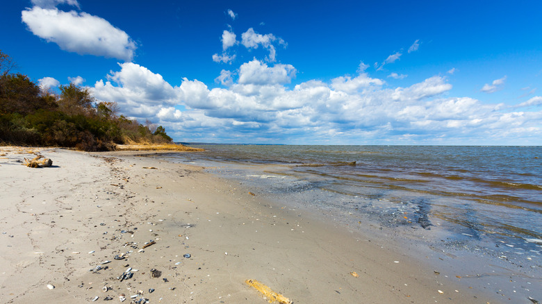 Chesapeake Bay beach near Matoaka Beach, Maryland