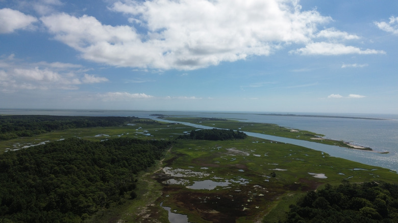 The marshlands of the Eastern Shore