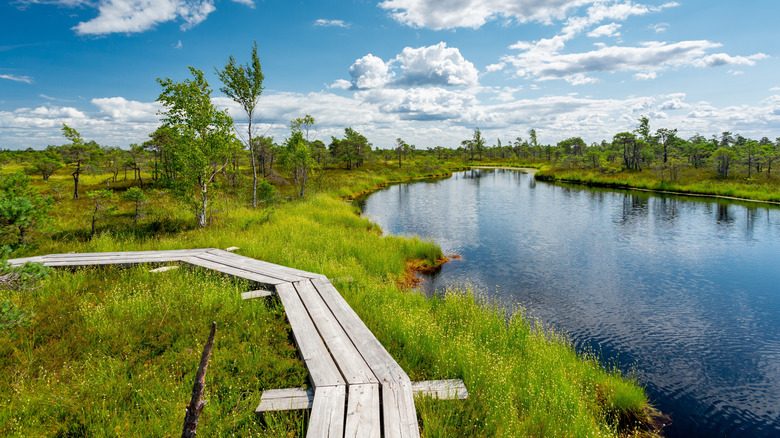 Lake in Kemeri National Park, Latvia