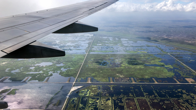 Plane flying over sugarcane farms in South Florida