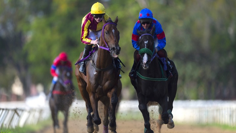 Jockeys on horses during a race.