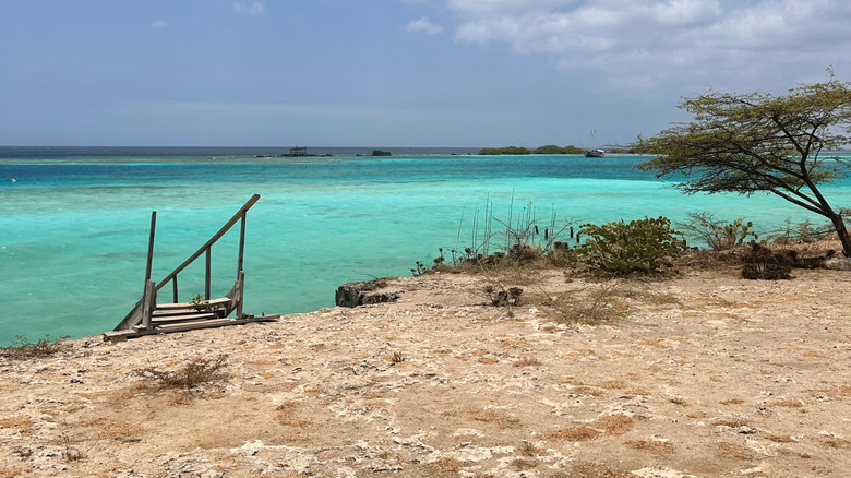 Mangel Halto Beach in Aruba