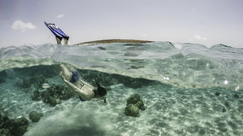 A woman snorkeling in Aruba