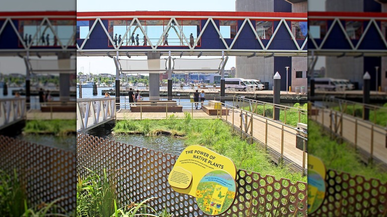 floating wetland exhibit in Baltimore, MD