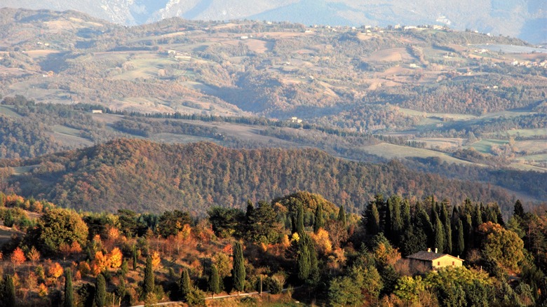 View of the Umbrian countryside