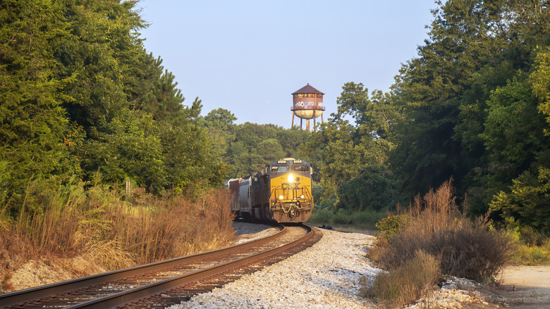 A train riding through a scenic Southern landscape