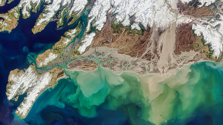 A satellite image of the Copper River Delta flowing into the Pacific Ocean