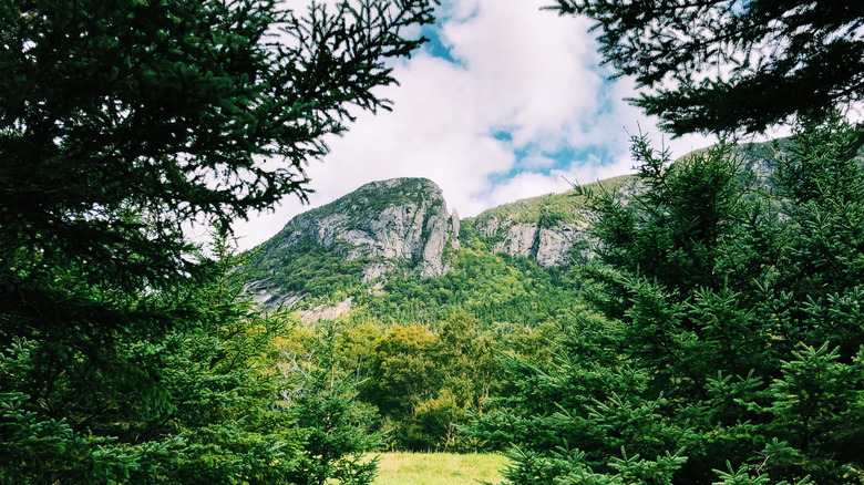 Eagle Mountain near Jackson, NH