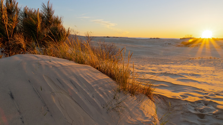 Sunset at Jockey's Ridge at the Outer Banks of North Carolina