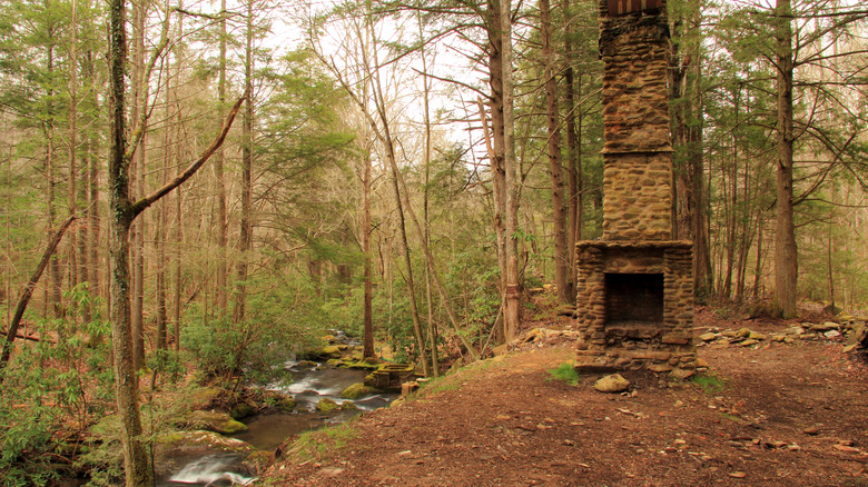 Abandoned chimney stack in the woods near a creek in Elkmont, Tennessee