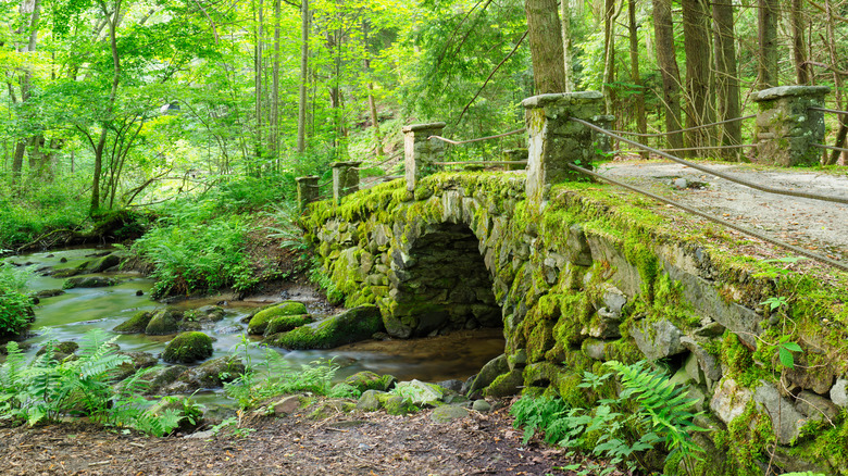 Mossy bridge over creek in forest near Elkmont, Tennessee