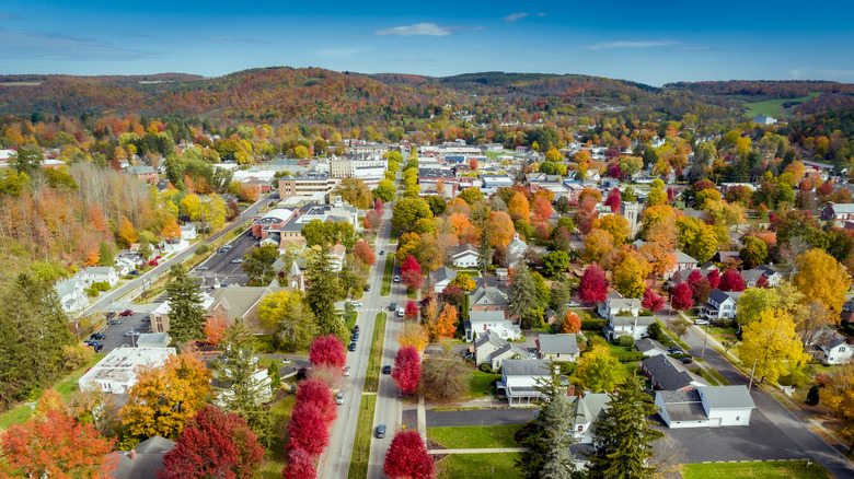 An aerial view of Wellsboro, Pennslyvania, dotted by trees