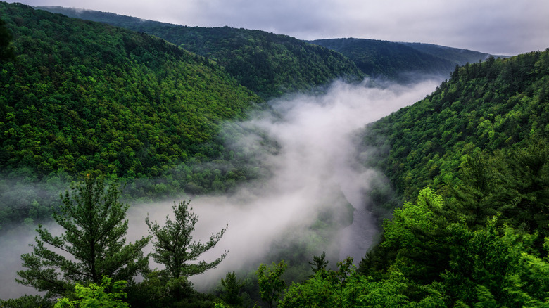 Pine Creek Gorge from Colton Point State Park in Pennslyvania