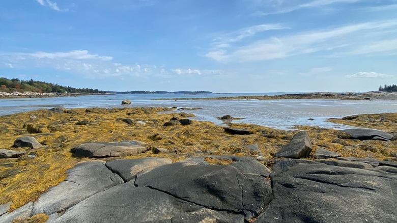 The beautiful coastline outside of Waldoboro