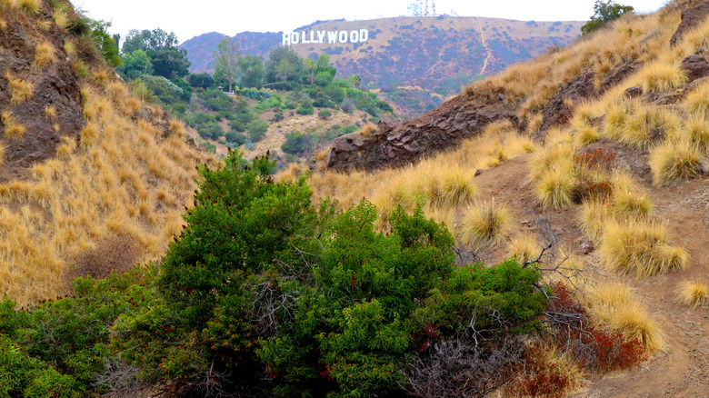 Bronson Canyon in Griffith Park, Los Angeles with Hollywood sign