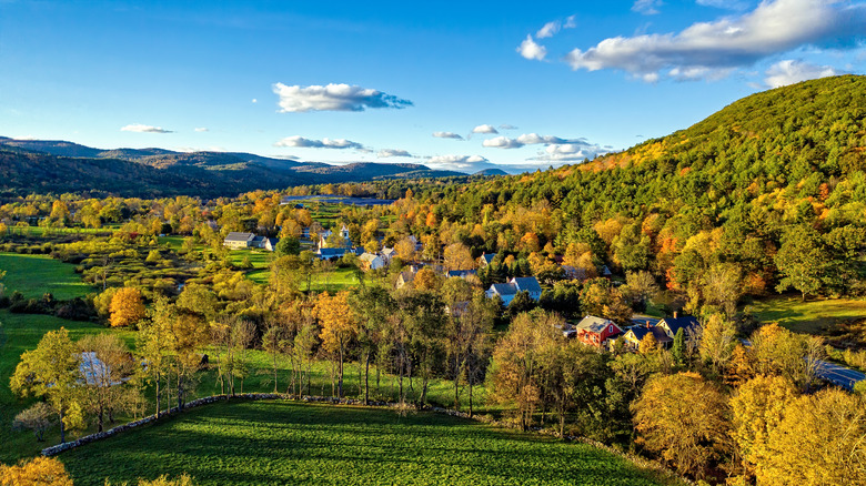 A bird's eye view of yellow and green trees in Chester, Vermont