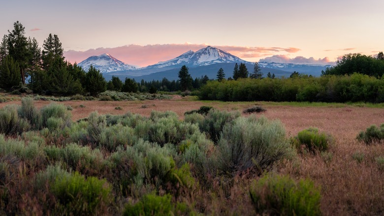 Beautiful valley with snow-capped mountain peaks in backdrop