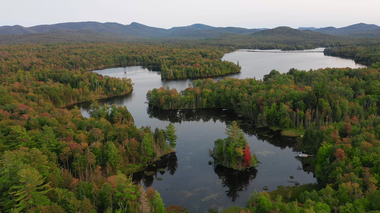 Autumn color in Indian Lake