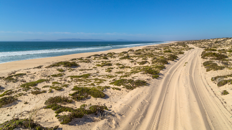 Beach in Comporta, Portugal