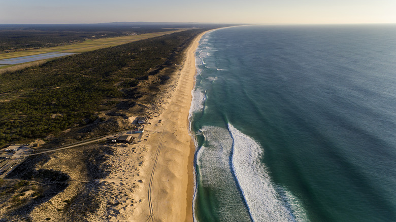 Aerial view of Comporta, Portugal