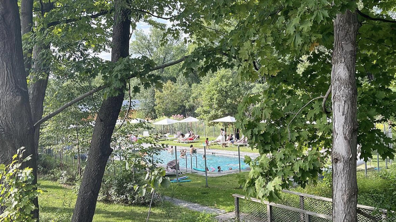 Grounds and pool of Tourists hotel in North Adams, MA