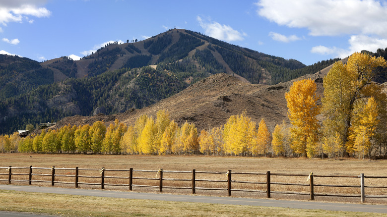 View of paved Wood River Trail with Sun Valley's Bald Mountain in backdrop