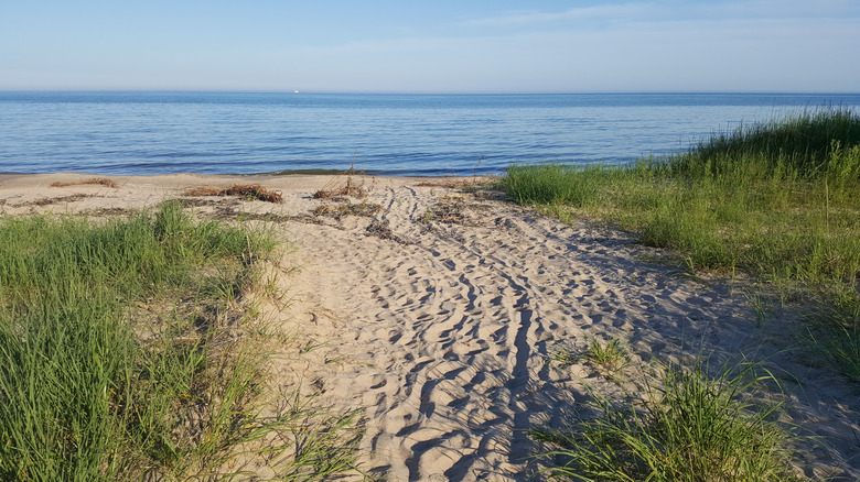 Sandy beach on Lake Michigan, Point Beach State Forest, Wisconsin