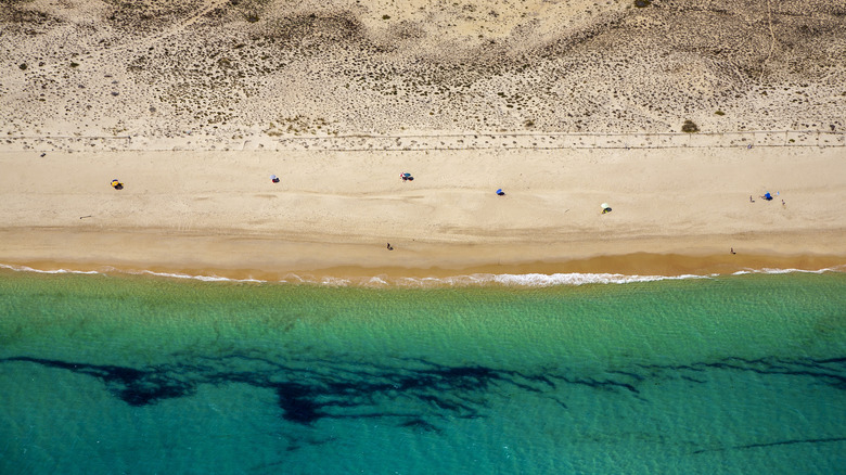 Aerial view of Praia do Barril near Santa Luzia, Portugal