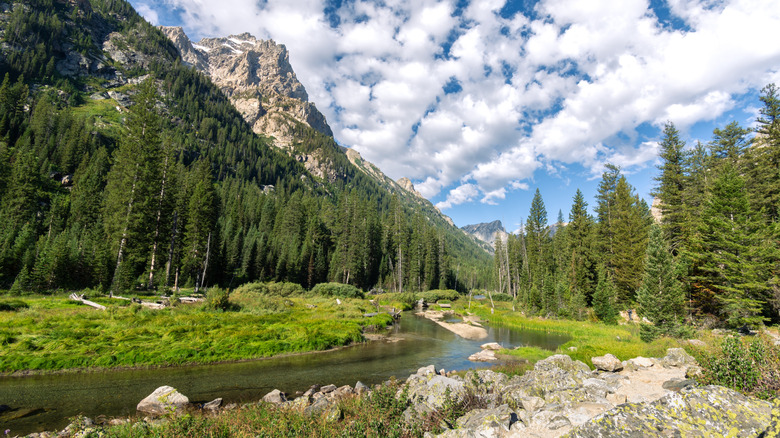 The Cascade Canyon Trail in Grand Teton National Park