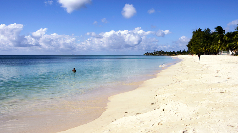 Tropical beach in Mozambique