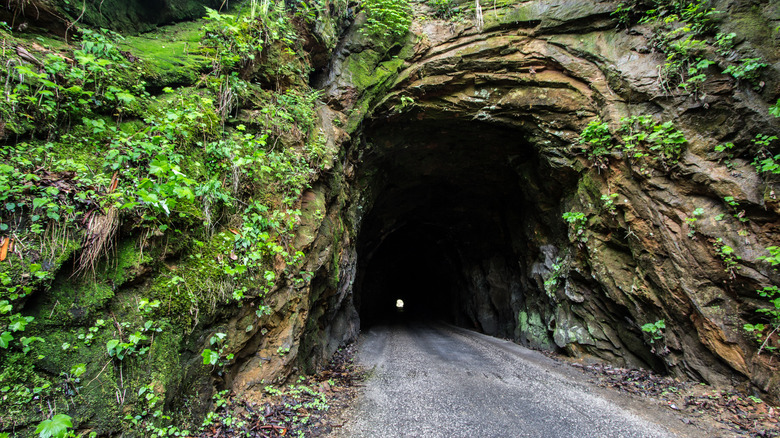 Nada Tunnel entrance covered in greenery