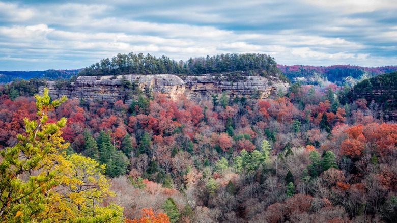 Raven Rock at Red River Gorge Geological Area Kentucky