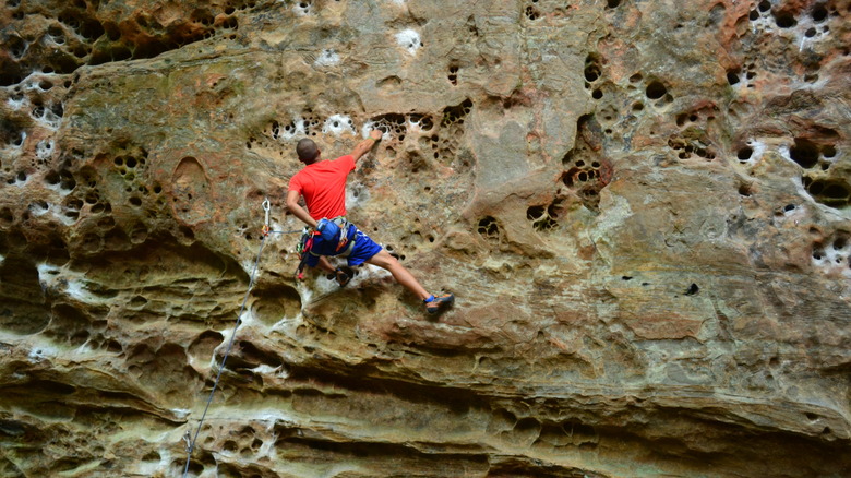 Man scaling a cliff at Red River Gorge Geological Area