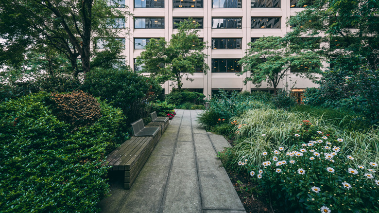 Walkway and benches among shrubs, flowers, and trees in New York City