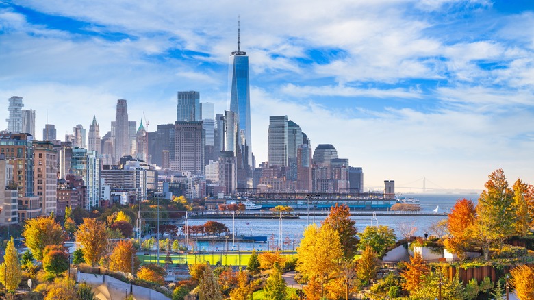 New York financial district skyline with autumn trees and park in the foreground