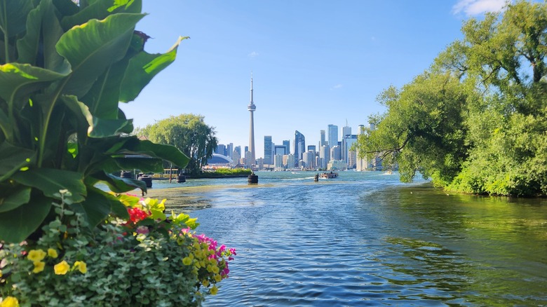 view from toronto island in the summer