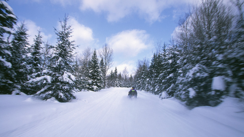 Person on a snowmobile on snowy trail in forest