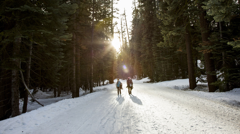 Two people hiking through asnowy forest