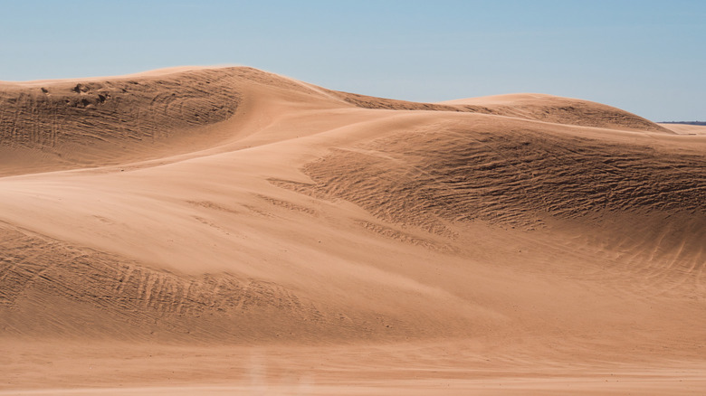 Dunes of Little Sahara State Park in Oklahoma