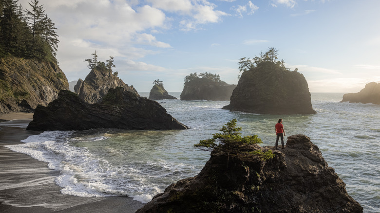 Person standing on sea stacks on the Oregon Coast