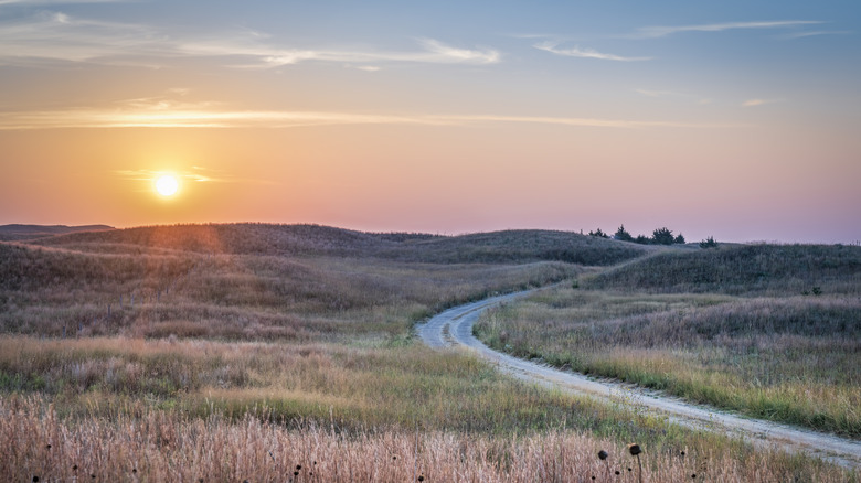 Lonely Sandhill road