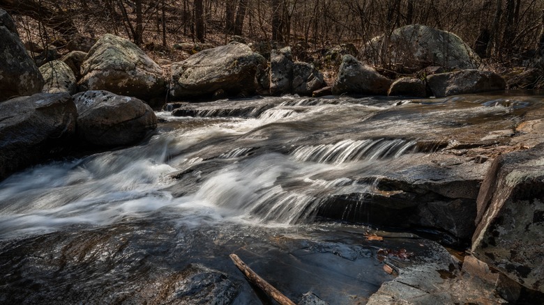 Waterfalls in Pickle Creek