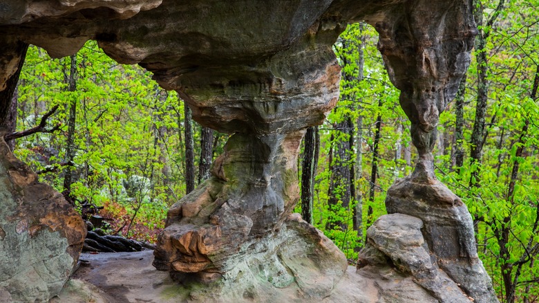 Hike in Pickle Springs natural area