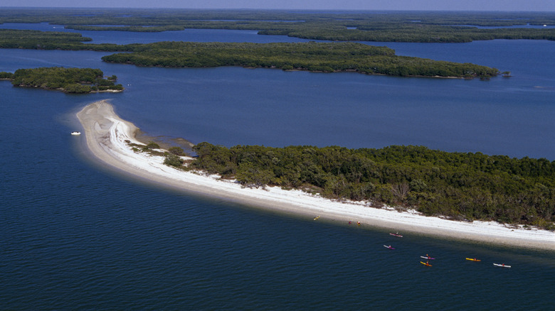 Kayaks near beach island in Everglades