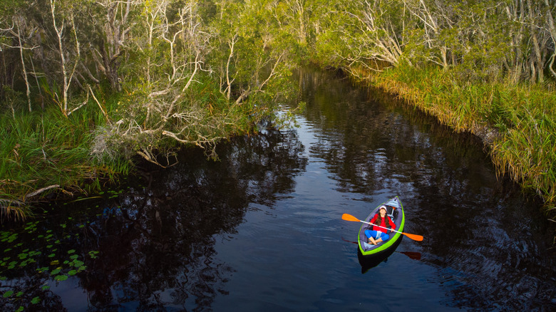 Kayaker paddling through Everglades