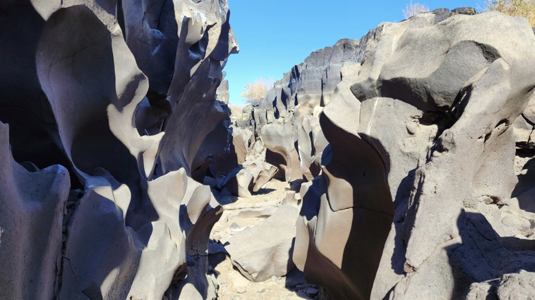 The gray rocks of Black Magic Canyon