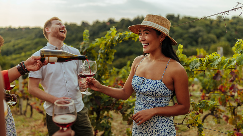 People drinking wine in a vineyard